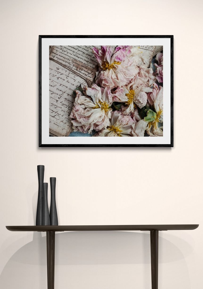 JOANNA MACLENNAN: Dried Peonies (limited edition print) - Aurelie's Gallery