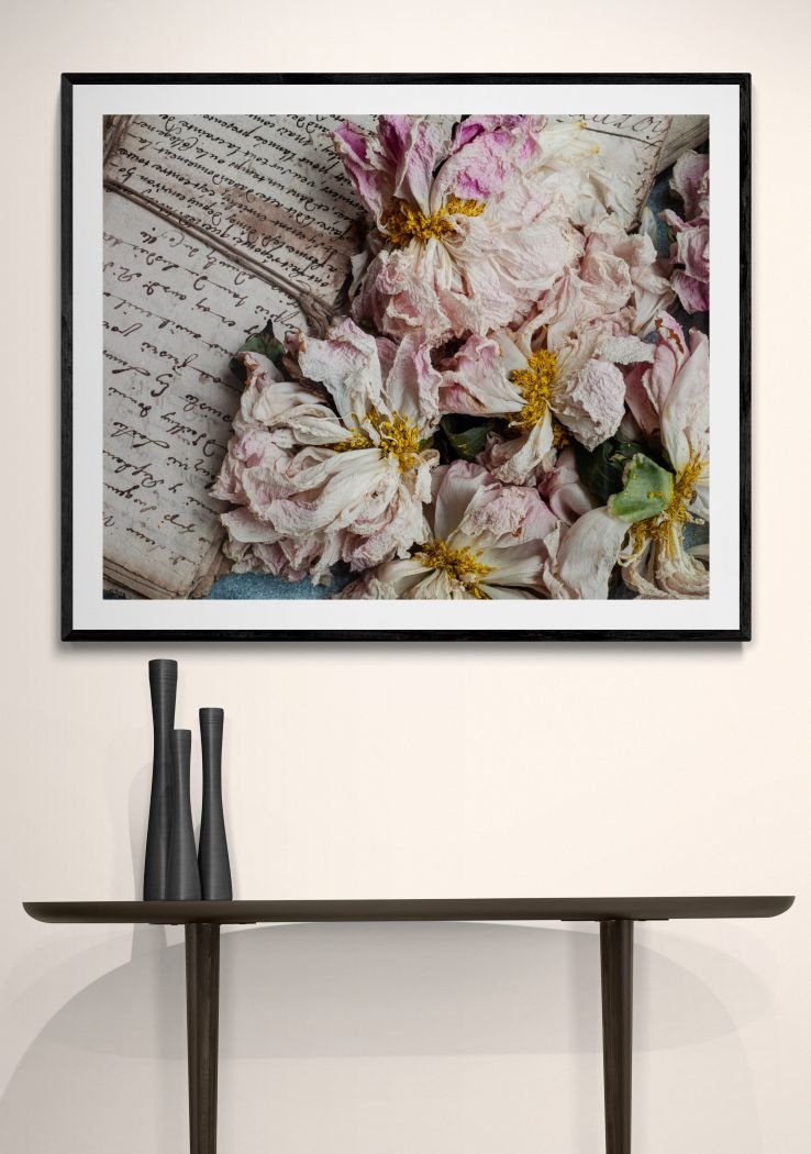 JOANNA MACLENNAN: Dried Peonies (limited edition print) - Aurelie's Gallery
