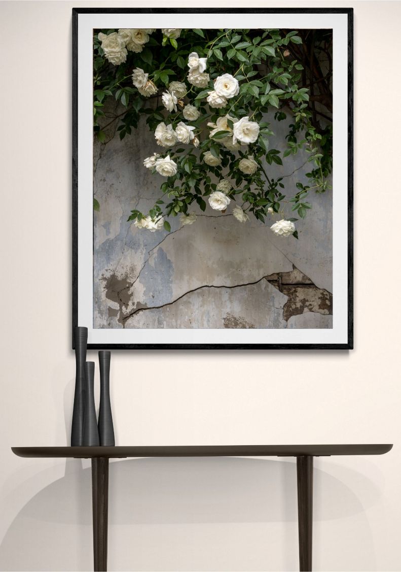 JOANNA MACLENNAN: Falling Roses (limited edition print) - Aurelie's Gallery