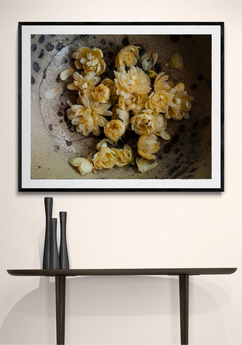 JOANNA MACLENNAN: Lady Bank's Roses (limited edition print) - Aurelie's Gallery