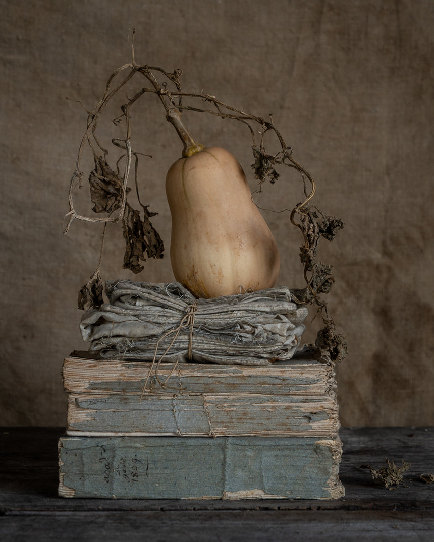 Butternut squash on stacked books against a textured background