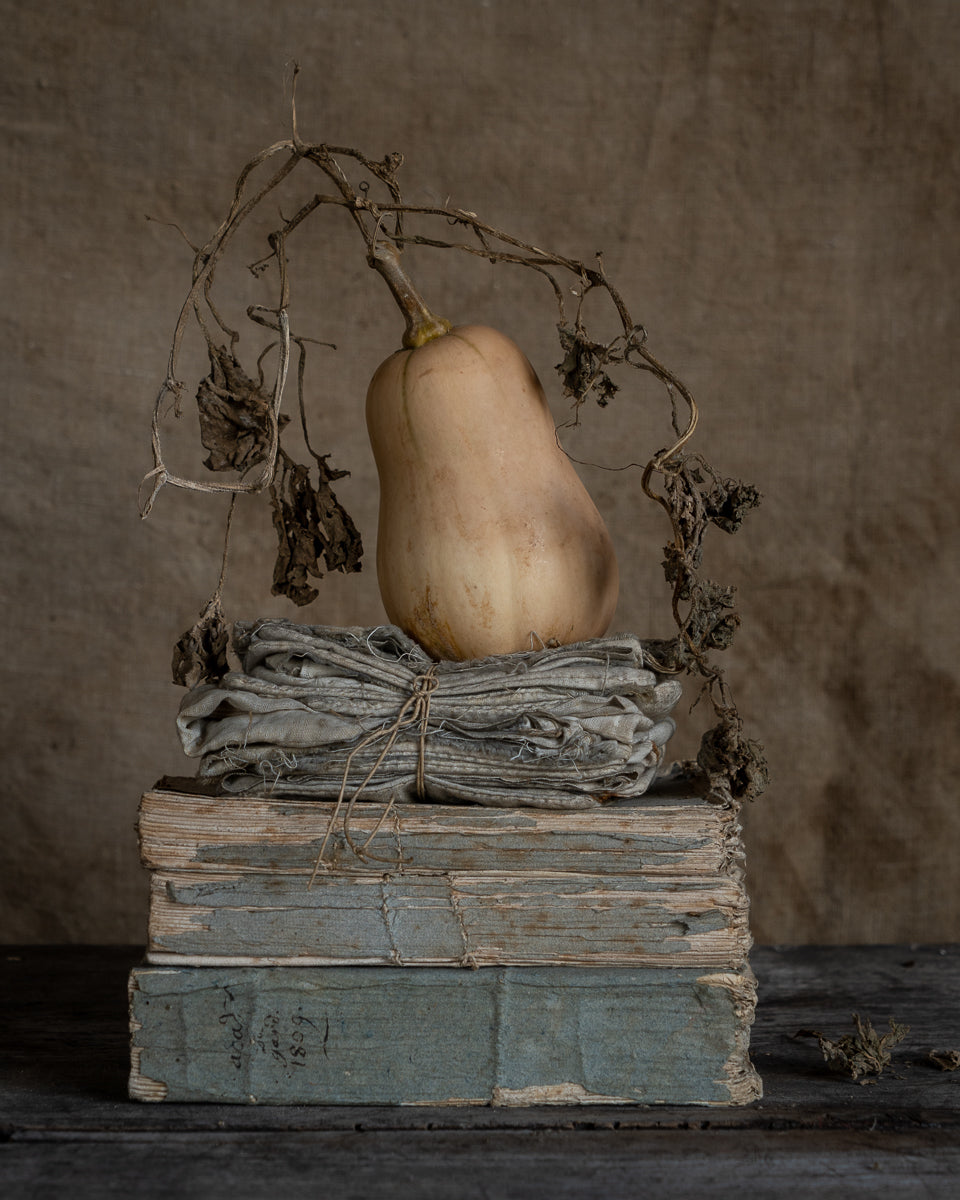 Butternut squash on stacked books against a textured background