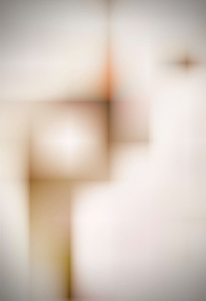 JOHN WOODRUFF: Interior 111 (limited edition print) - Aurelie's Gallery