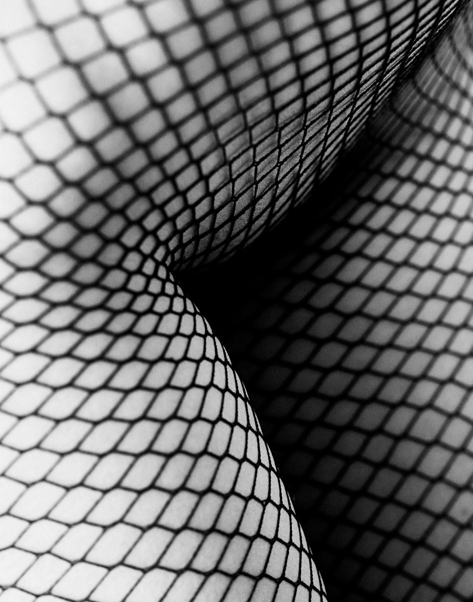 KOUROSH SOTOODEH: Fishnet I (limited edition print) - Aurelie's Gallery
