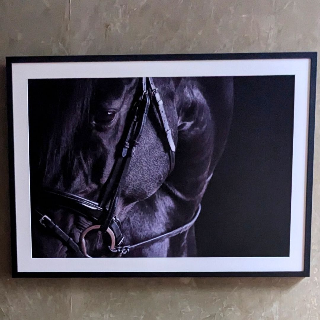 A medium-sized framed print of a photograph of a horse hangs on a wall