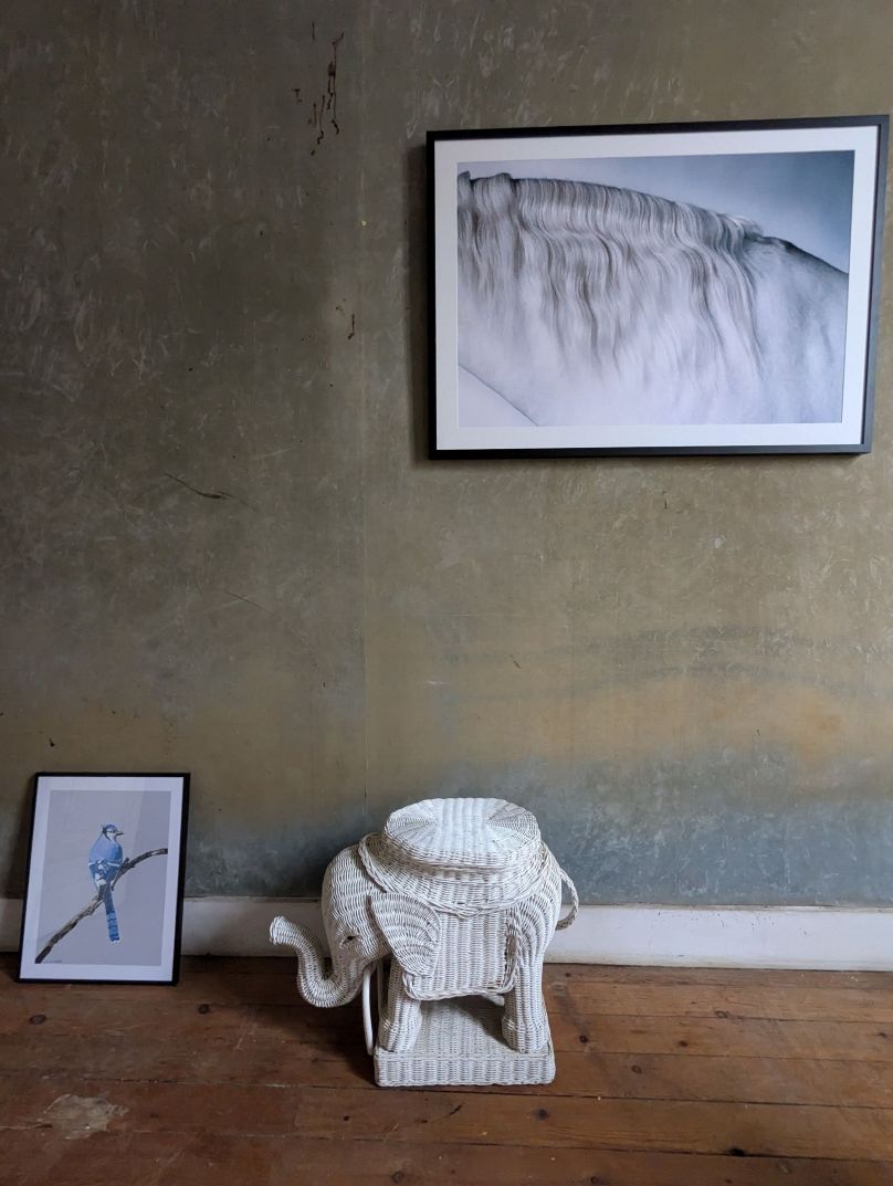 LORI ADAMSKI-PEEK: White Horse II (limited edition print) - Aurelie's Gallery