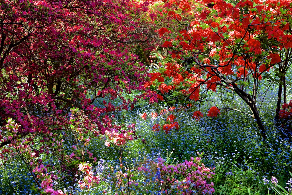 Shaded and flowery spot in a park