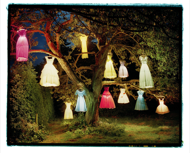 Illuminated evening gowns hanging in a tree at night