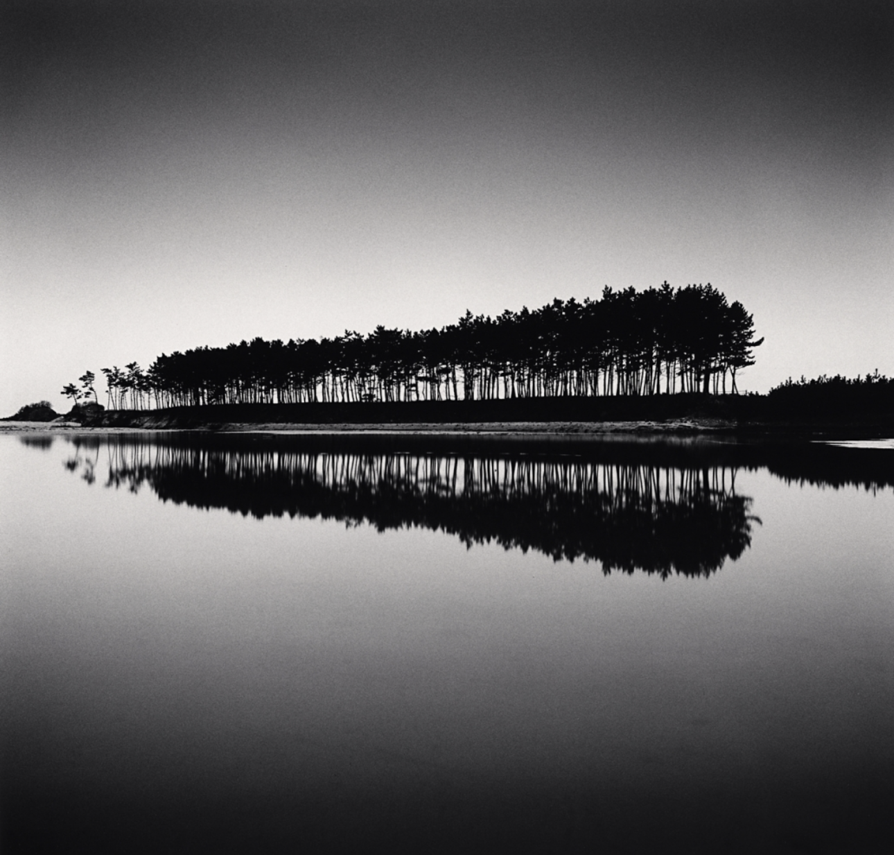 A row of trees reflected on the nearby river