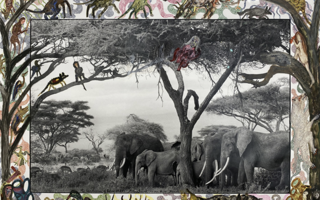 Photograph of an African savanna landscape with added hand drawn illustrations