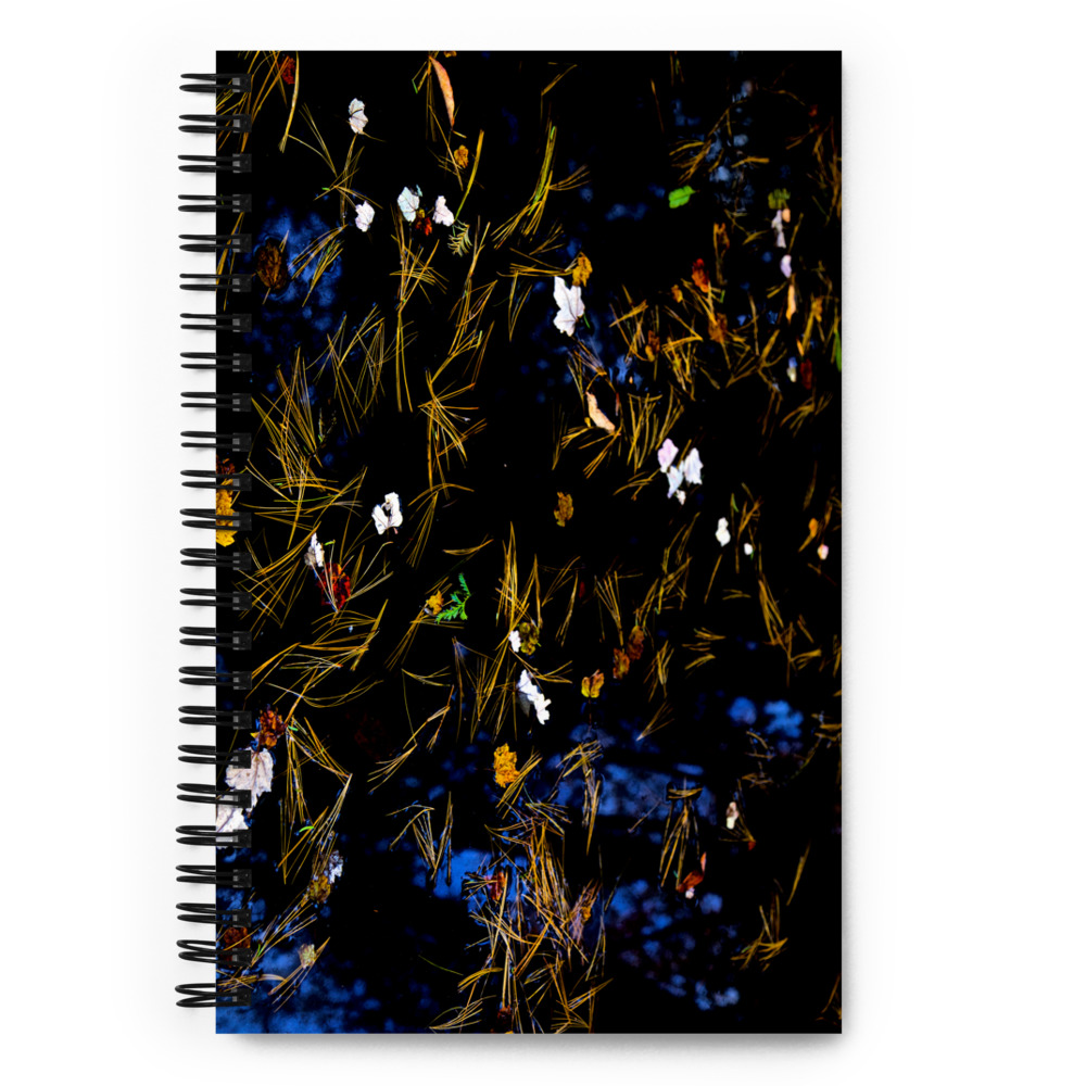 ANDRE BARANOWSKI: Garden Wild, V (notebook)