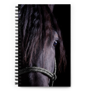 Spiral notebook with a portrait of a black horse