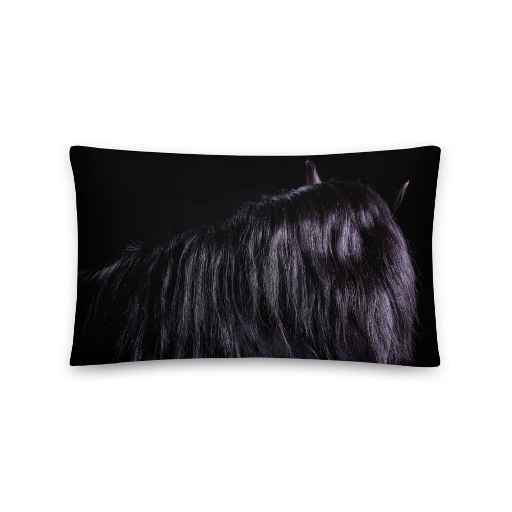 LORI ADAMSKI-PEEK: Black Horse, IV (throw pillow)