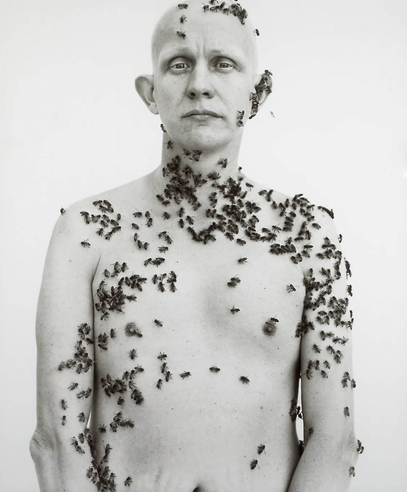 Shirtless beekeeper covered in bees