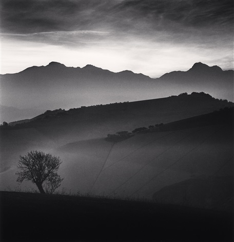 Hilly landscape, covered in fog, with a lonely tree in the foreground