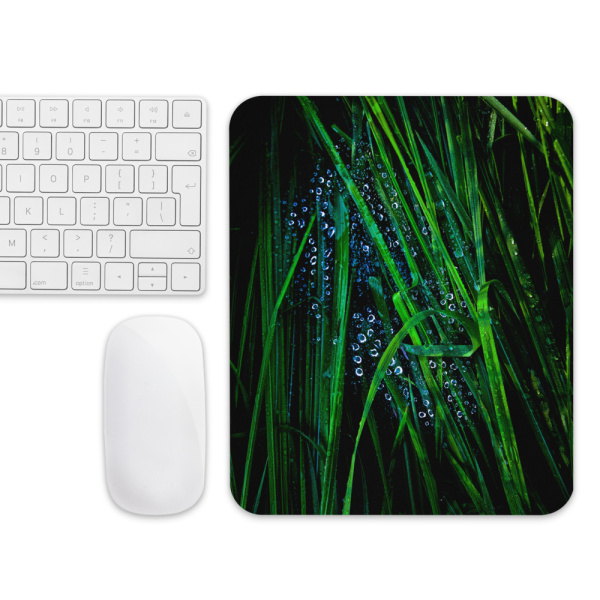 Mouse pad with a photograph of blades of grass with droplets on them