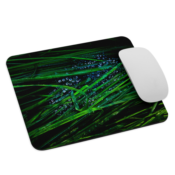 Mouse pad with a photograph of blades of grass with droplets on them
