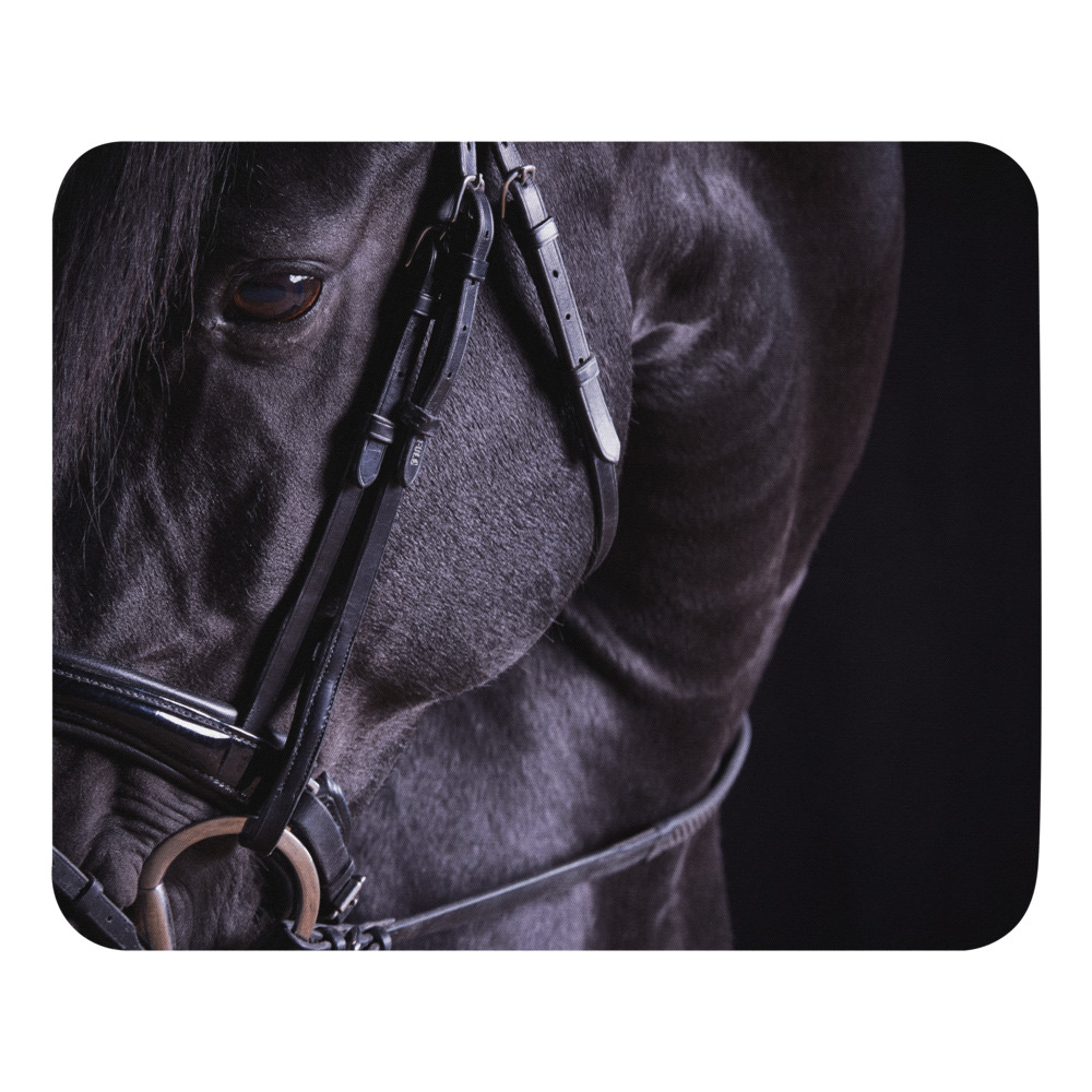 LORI ADAMSKI-PEEK: Black Horse, I (mouse pad)