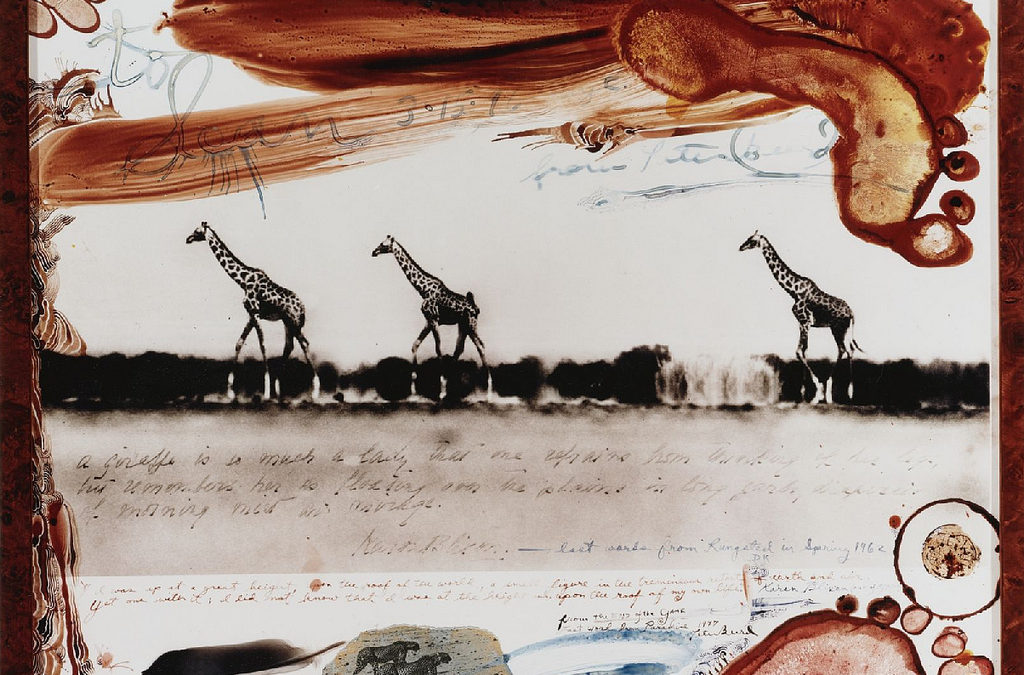 Print of 3 girafes in Africa, covered with handwritten notes and bloodied footprints