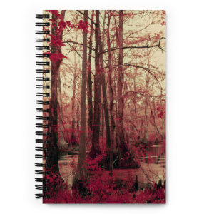 Spiral notebook with the image of swamp on its cover