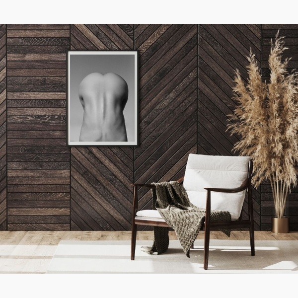Framed print of a woman's naked back, hanging in a reading nook