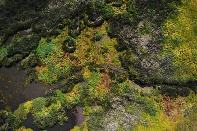 Aerial view of Lake Cuyamaca in California