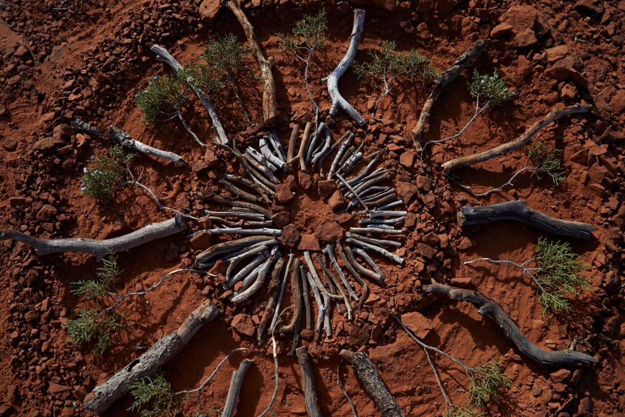 Branches and stones displayed on the ground in a desert