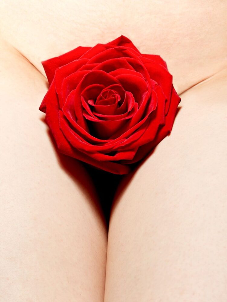 A red rose hides a woman's sex