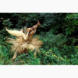 A mysterious figure in a traditional African costume and mask dancing in a forest