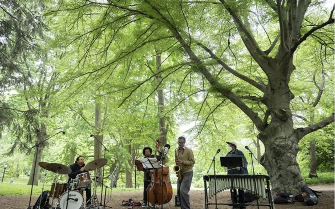 Jazz musicians playing under trees in Central Park