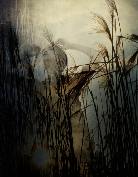 Superimposed image of a woman and of tall reeds