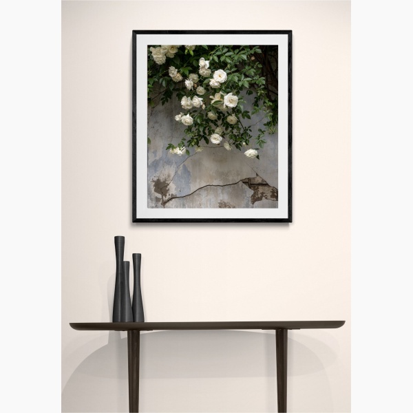 Joanna Maclennan: Falling Roses (30x24" print)