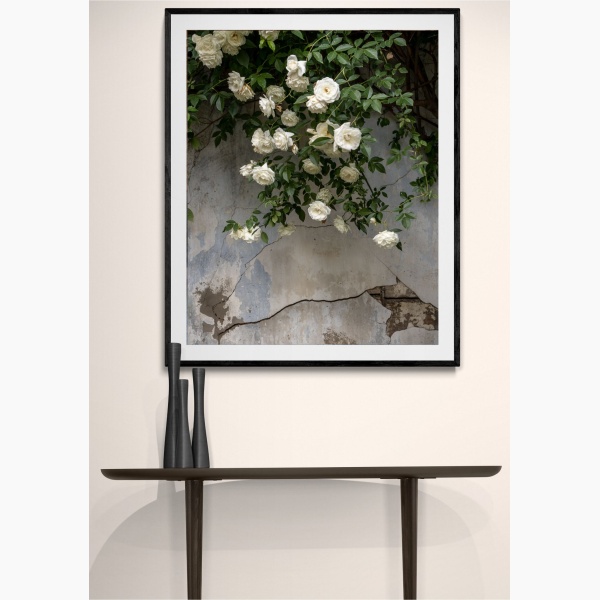Joanna Maclennan: Falling Roses (40x32" print)