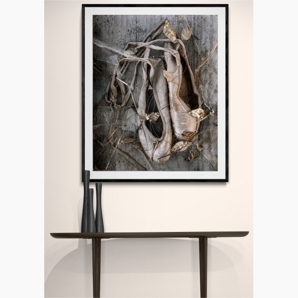 Joanna Maclennan: Frozen Ballet Shoes (40x32" print)