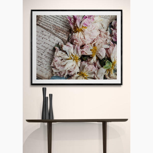 Joanna Maclennan: Dried Peonies (40x32" print)