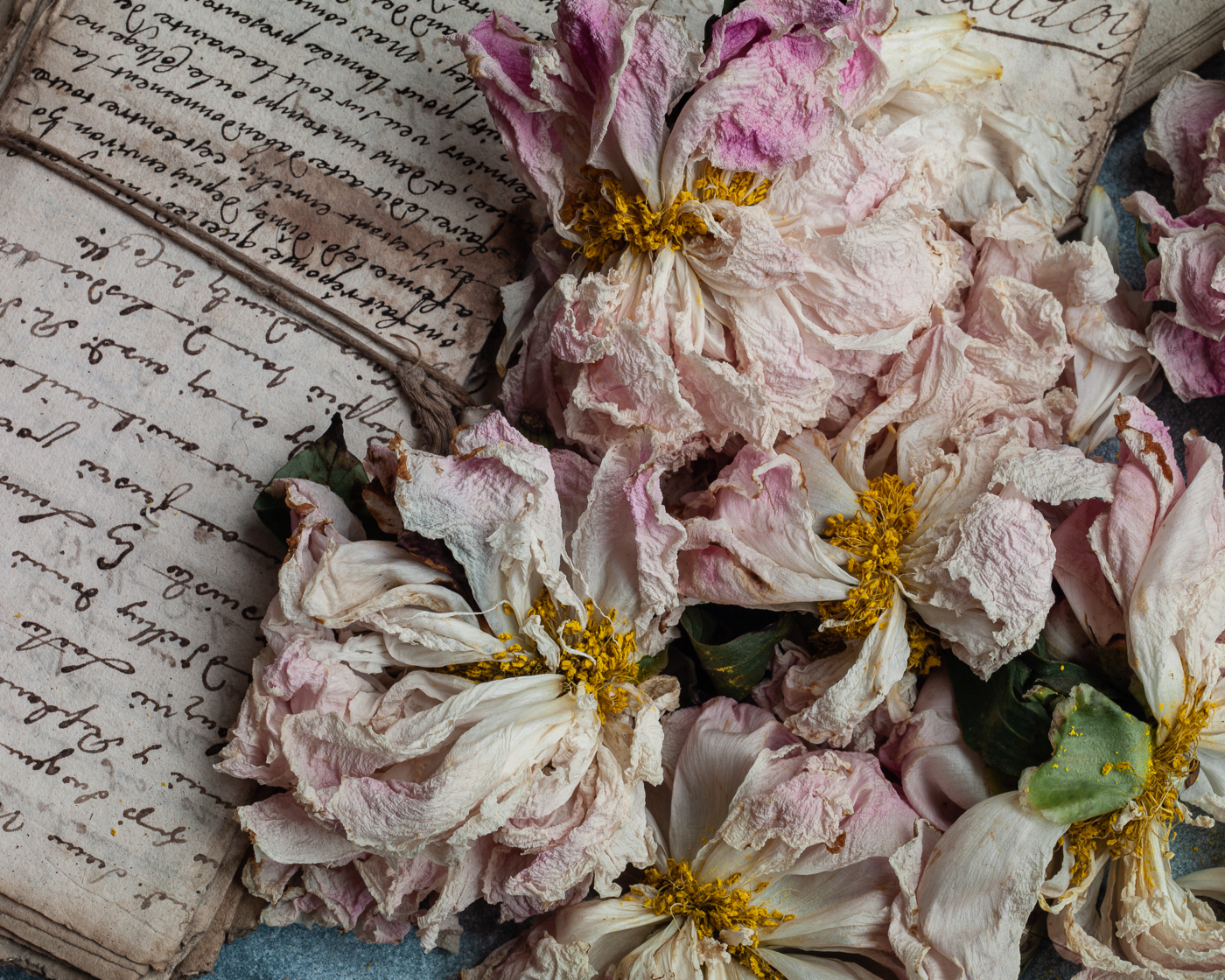 Dried peonies laying on top of old letters