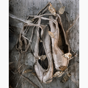 A pair of ballet pointe shoes lay on a weathered hardwood floor