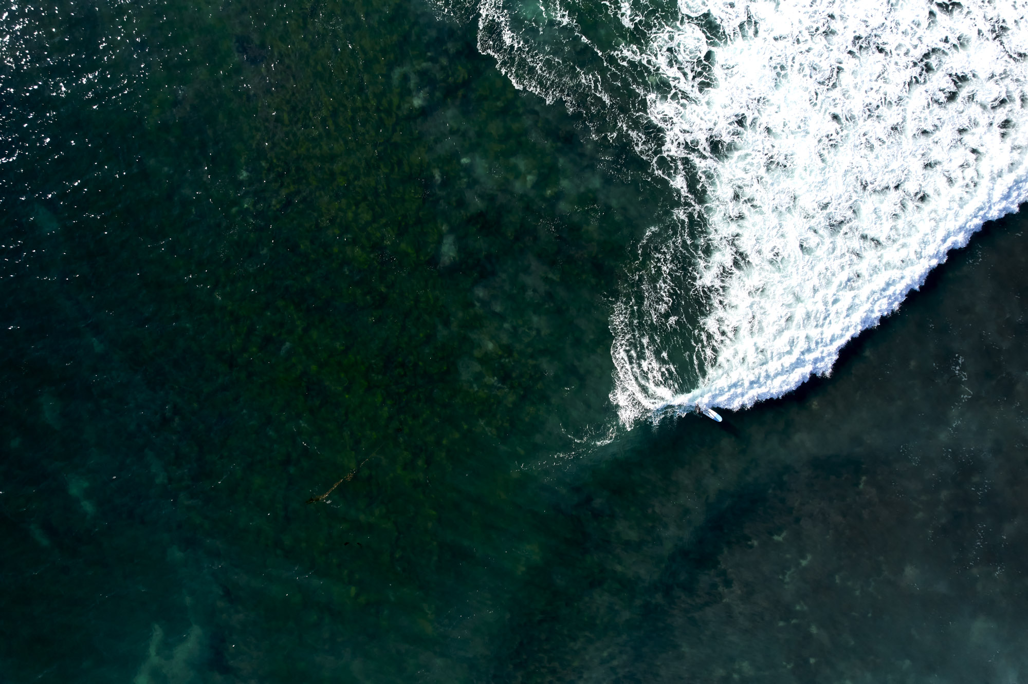 Limited edition print of an aerial photography of a surfer riding a wave, seen from high above