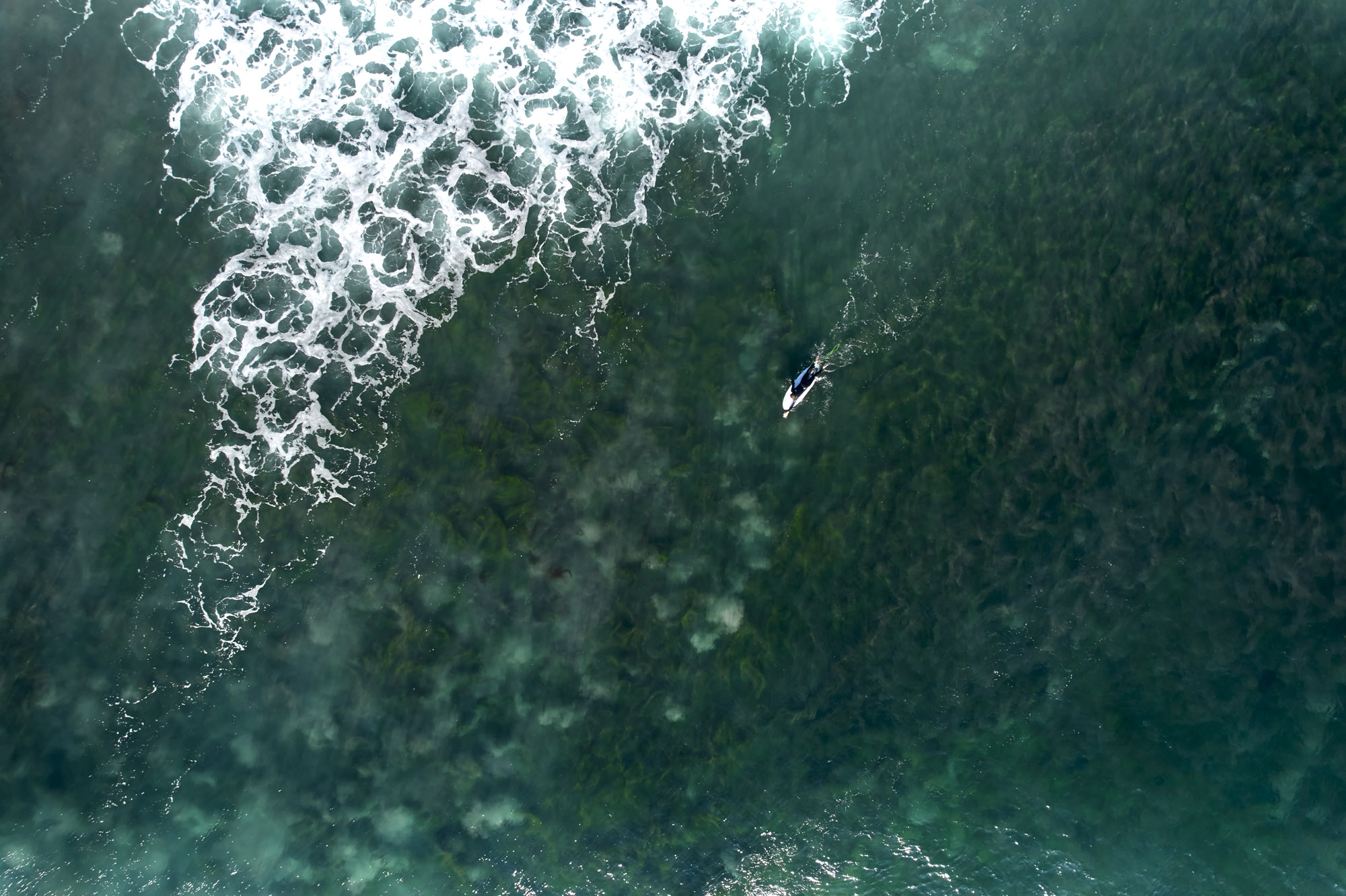Aerial view of a lone surfer next to a huge wave