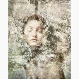 HELENA PALAZZI: Bewitched (limited edition print)