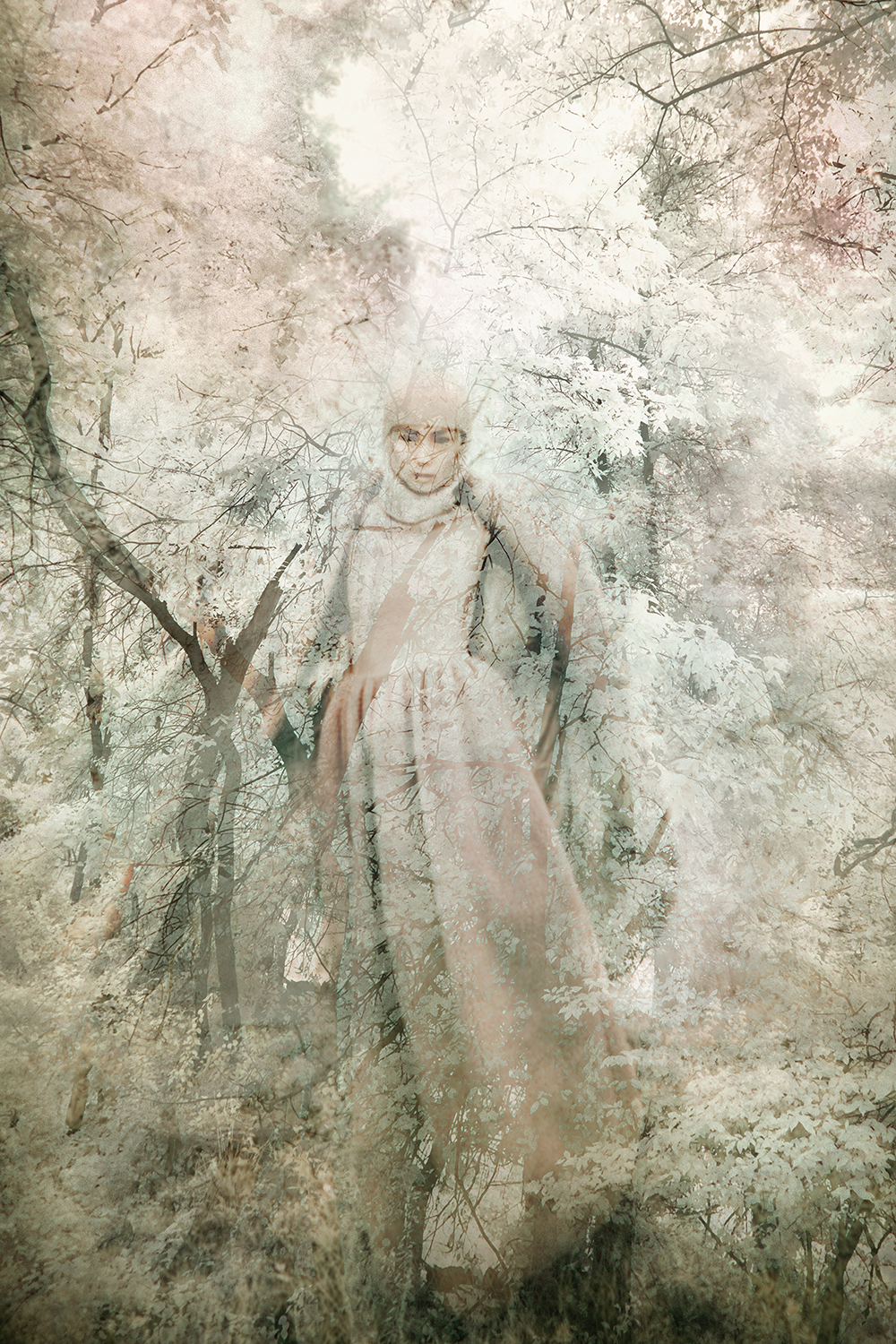 HELENA PALAZZI: Shield Maiden, III (limited edition print)