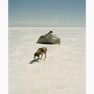 A dog walks awa from a covered racing motorcycle in the middle of a salt flat