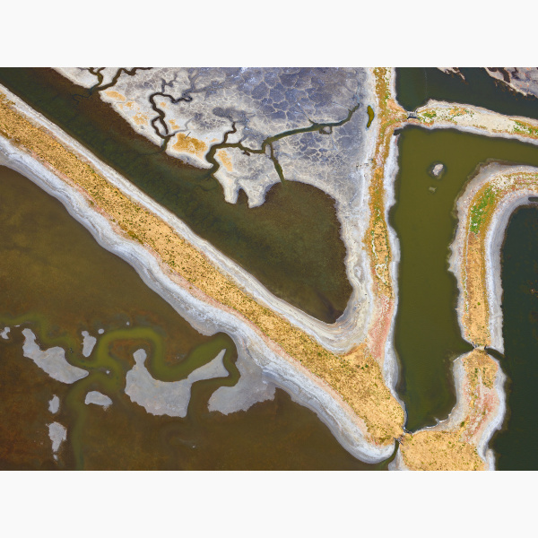 Andrei Duman's aerial photography of a marsh