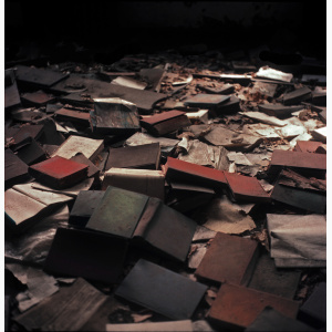 A floor in an abandoned room is covered with dozens of discarded books