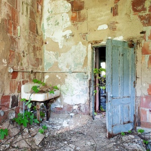 A room with a sink is covered with overgrown greenery in an abandoned building