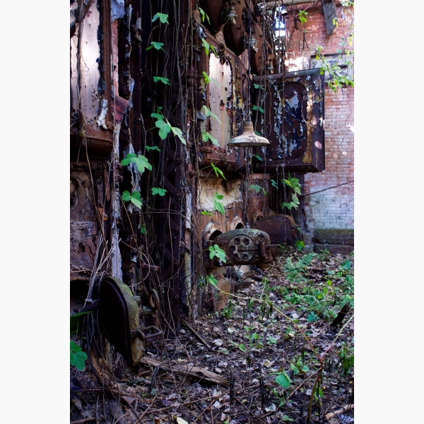 An abandoned building with wild plants growing on it