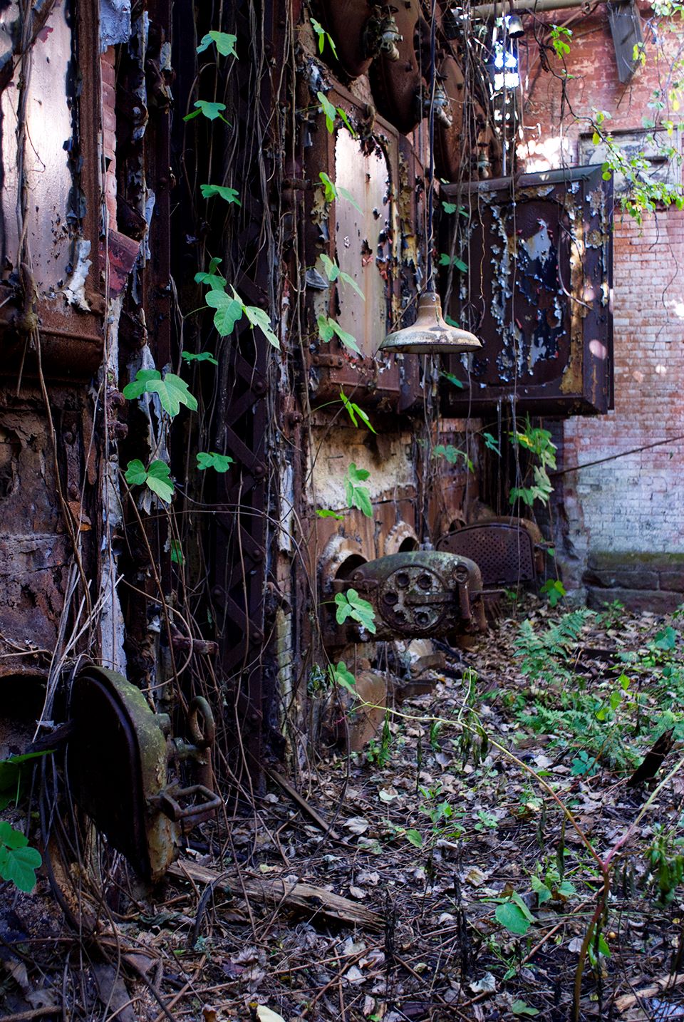 An abandoned building with wild plants growing on it