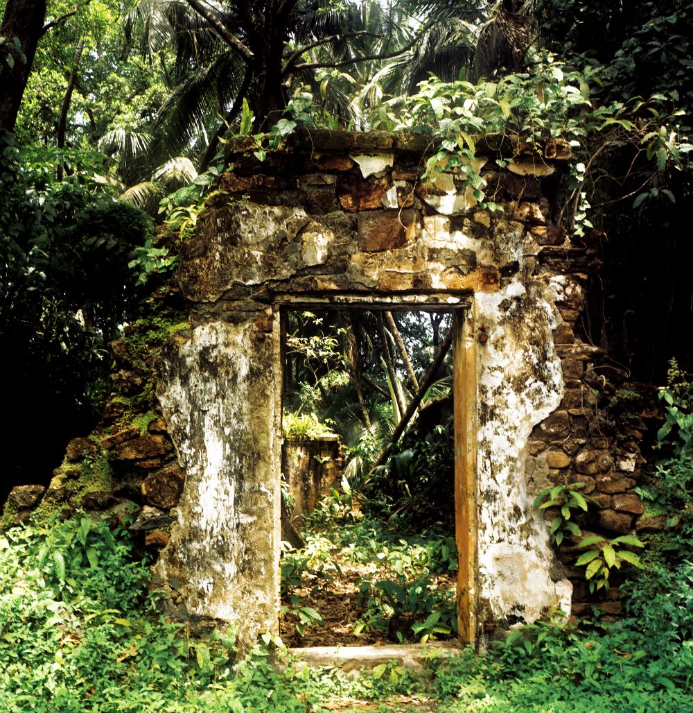 In a jungle stands a doorframe leading to nowhere as the walls have crumbled around it.